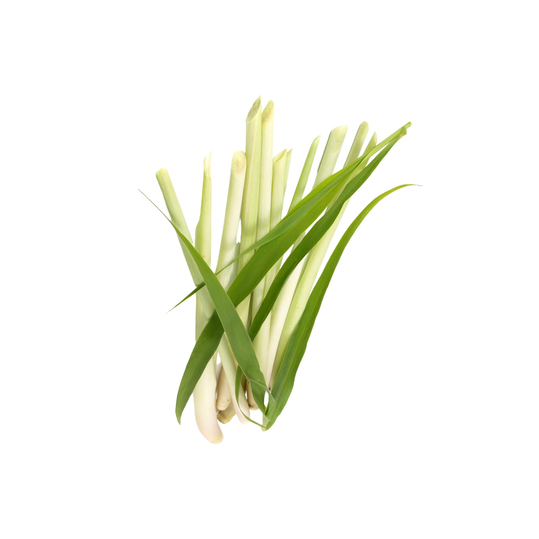 Lemongrass